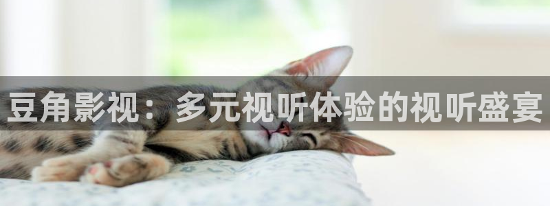 国产神秘影院：豆角影视：多元视听体验的视听盛宴