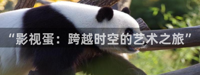 yy神秘影院：“影视蛋：跨越时空的艺术之旅”