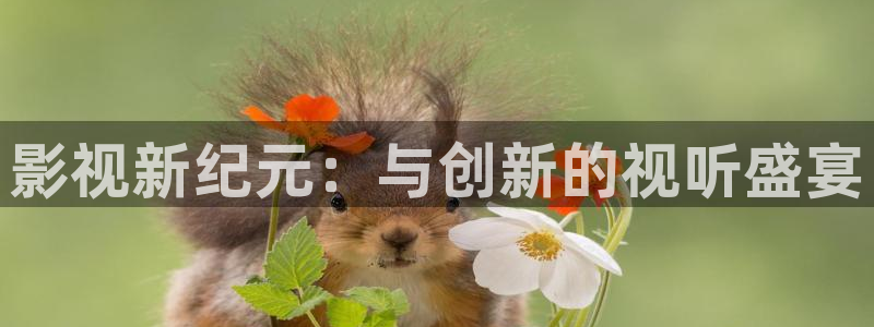 国产神秘影院：影视新纪元：与创新的视听盛宴