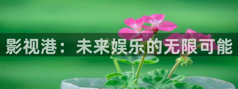 欧美神秘影院：影视港：未来娱乐的无限可能