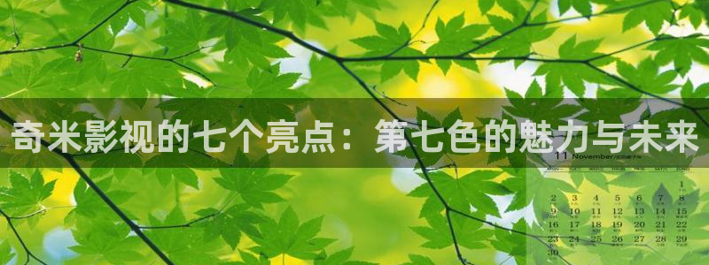 欧美神秘影院：奇米影视的七个亮点：第七色的魅力与未来