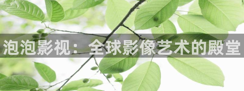 欧美神秘影院：泡泡影视：全球影像艺术的殿堂