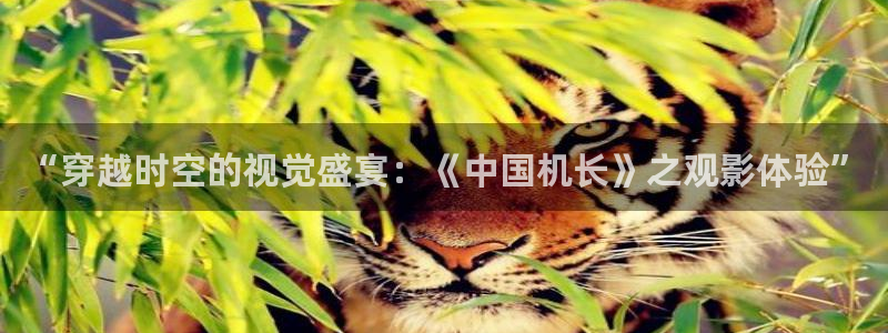 国产神秘影院：“穿越时空的视觉盛宴：《中国机长》之观影体验”